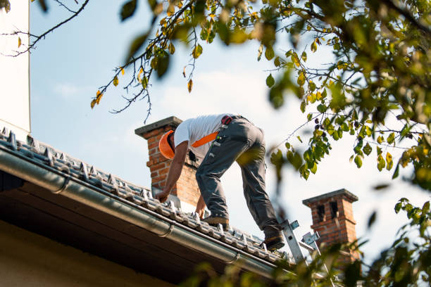 Best Roof Insulation Installation  in Ocean City, NJ